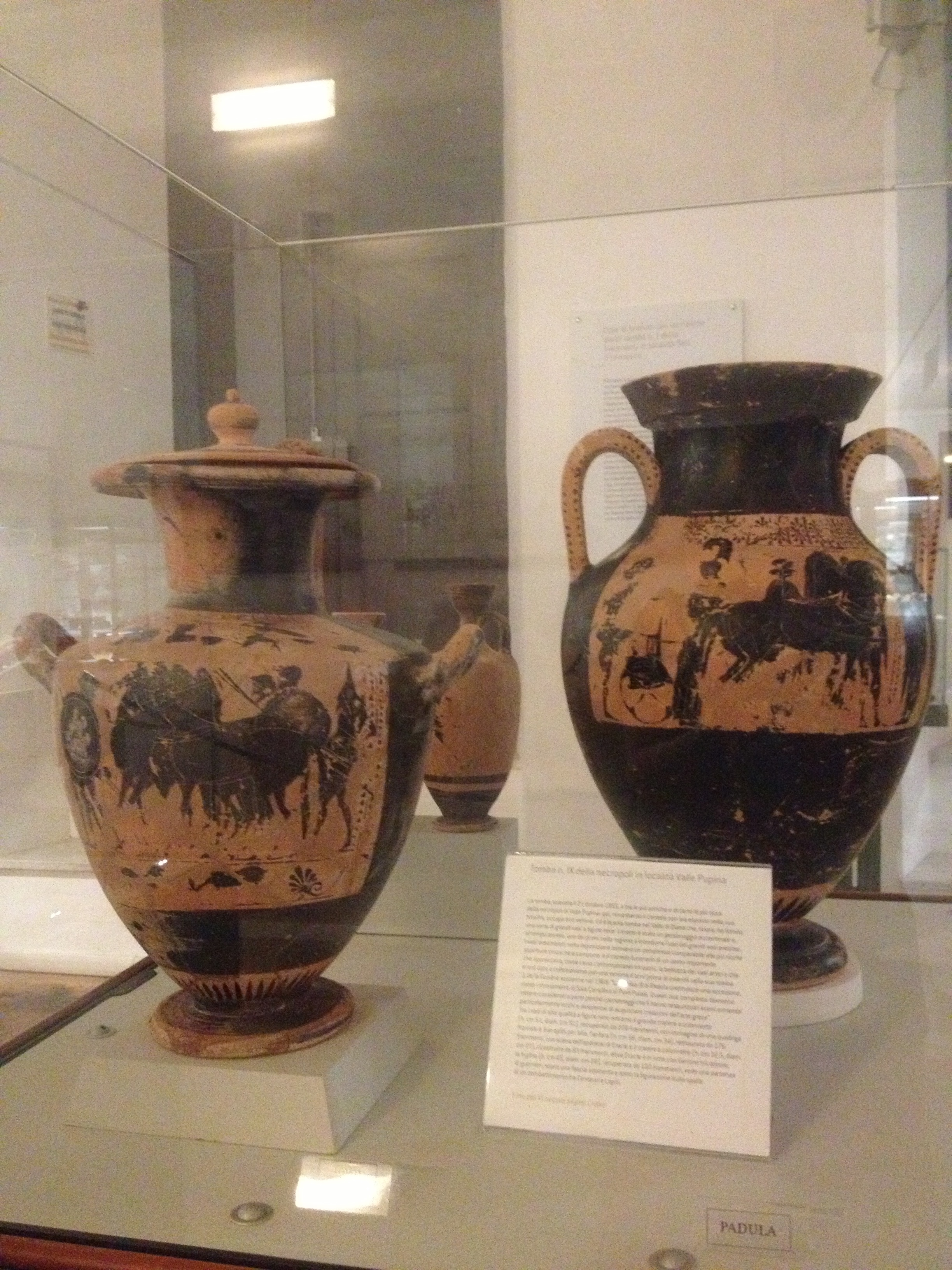 Museo archeologico Padula