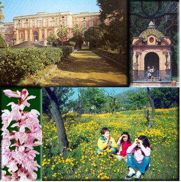 Villa
                      Favorita in alto a sinistra, Villa Signorini